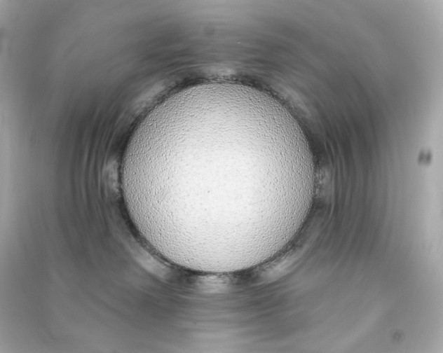 X0000090460238200708102118