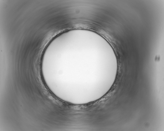 X0000090460241200708102117
