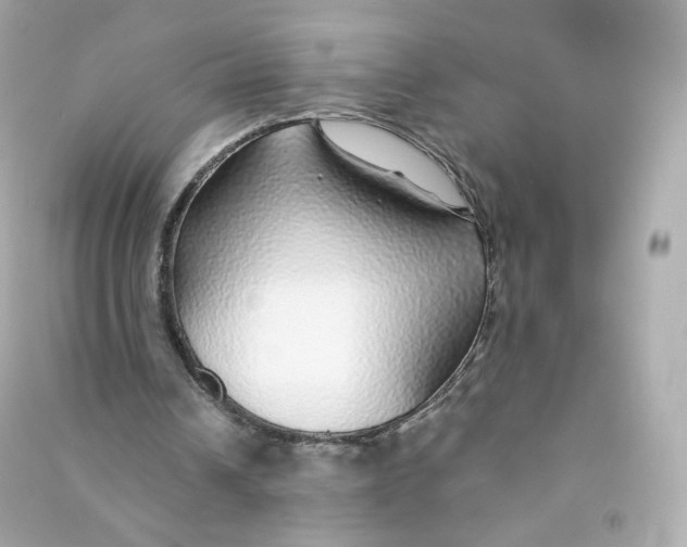 X0000090460242200708102117