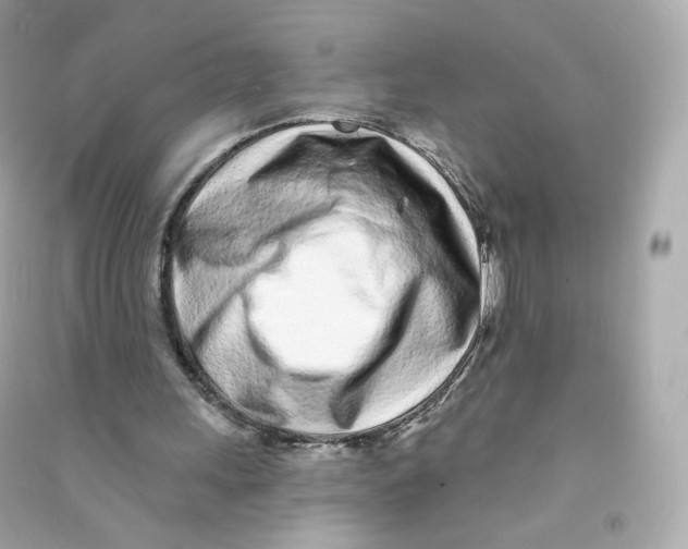 X0000090460243200708102117