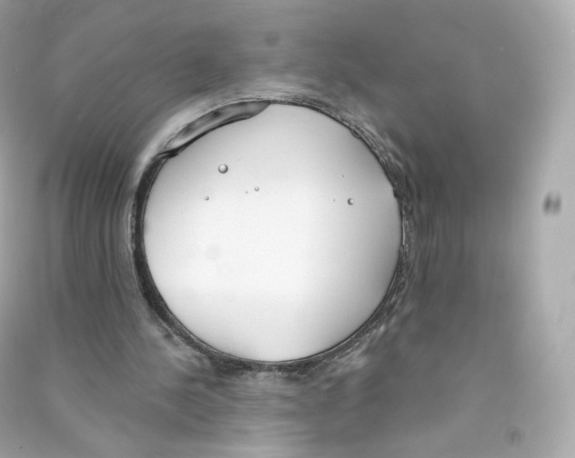 X0000090460244200708102117