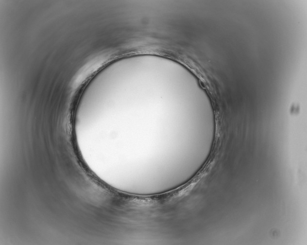 X0000090460245200708102117