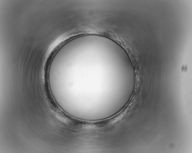 X0000090460246200708102117
