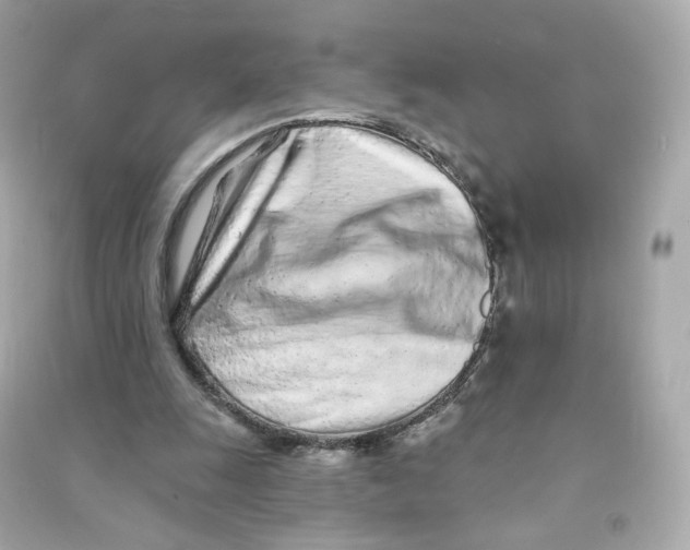 X0000090460247200708102117