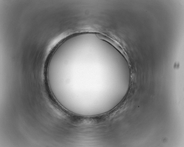 X0000090460248200708102117