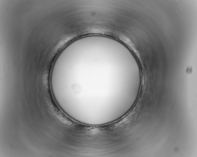 X0000090460249200708102117