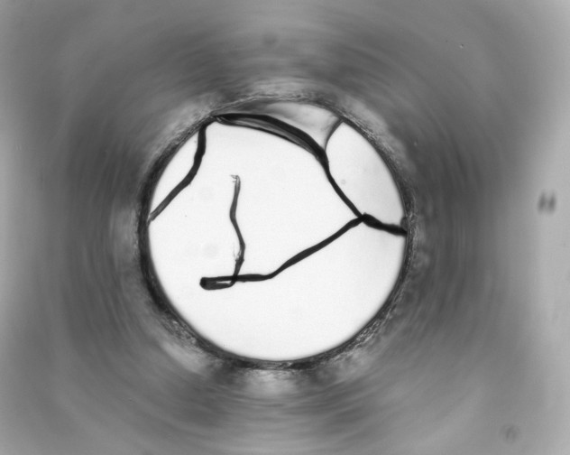 X0000090460250200708102117