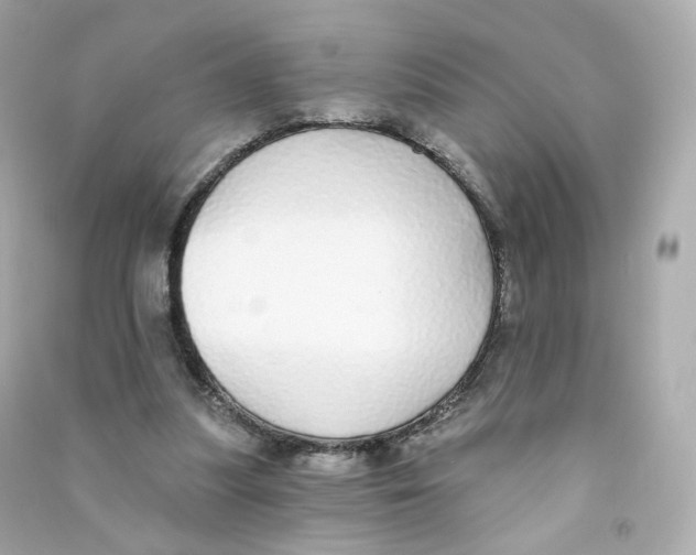 X0000090460251200708102117