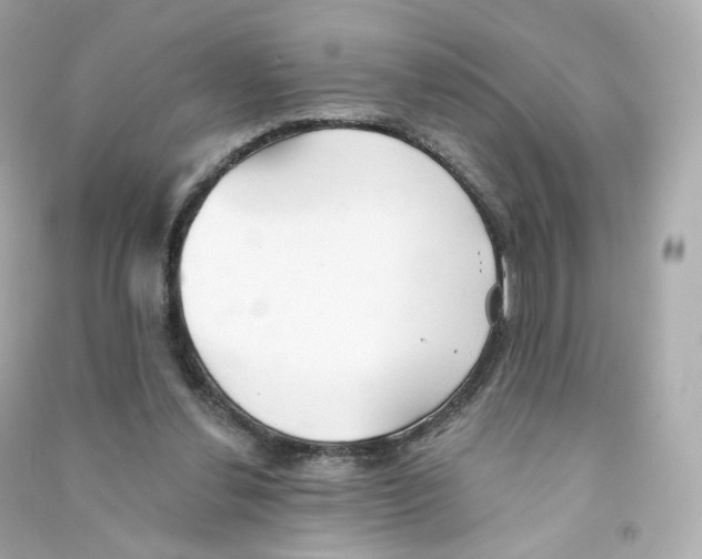 X0000090460252200708102117
