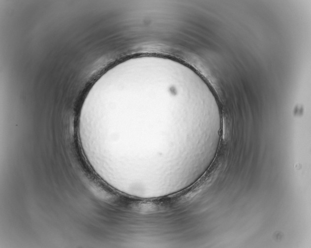 X0000090460253200708102117