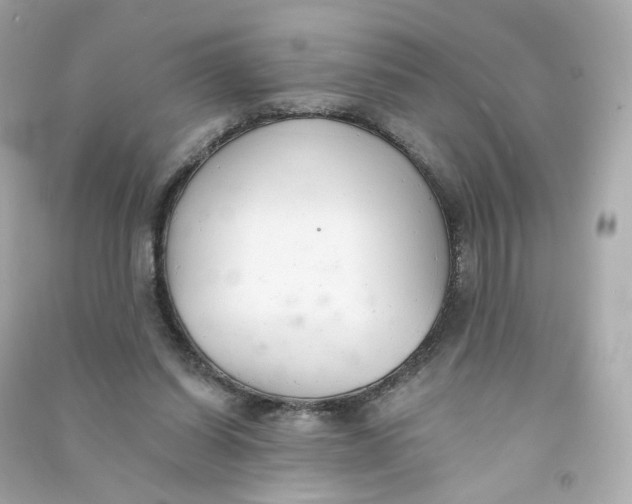 X0000090460254200708102117