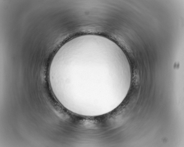 X0000090460255200708102117