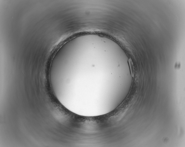 X0000090460256200708102117
