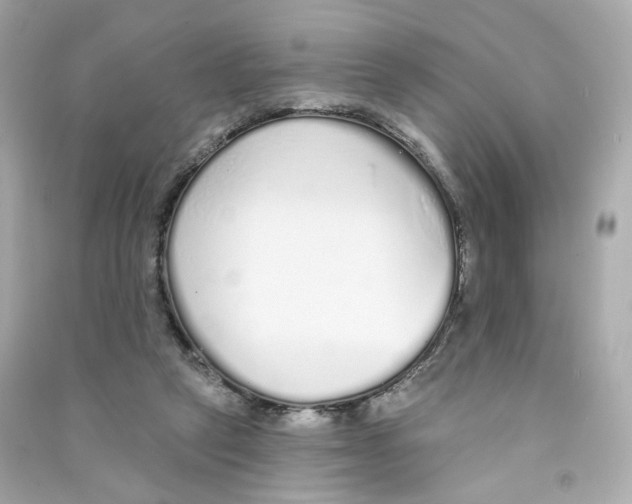 X0000090460257200708102117