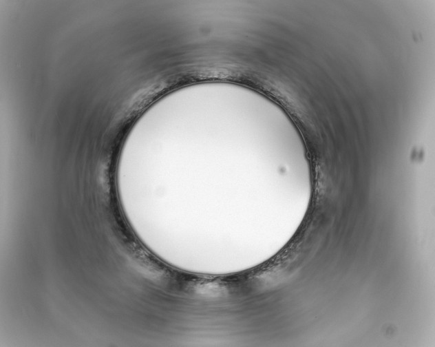 X0000090460258200708102117