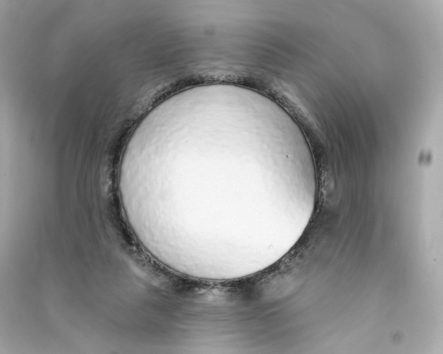 X0000090460259200708102117