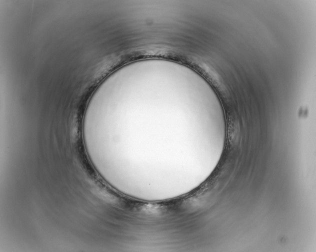 X0000090460261200708102117