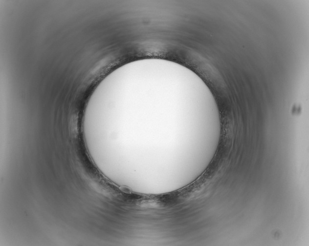 X0000090460262200708102117