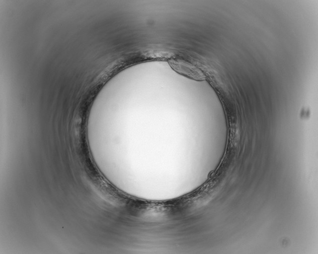 X0000090460263200708102117