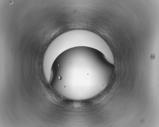 X0000090460264200708102117