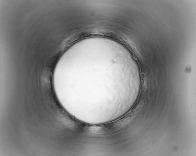X0000090460265200708102117