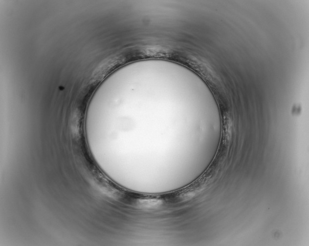 X0000090460266200708102117
