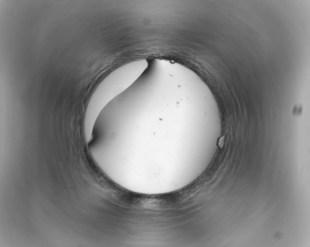 X0000090460268200708102117