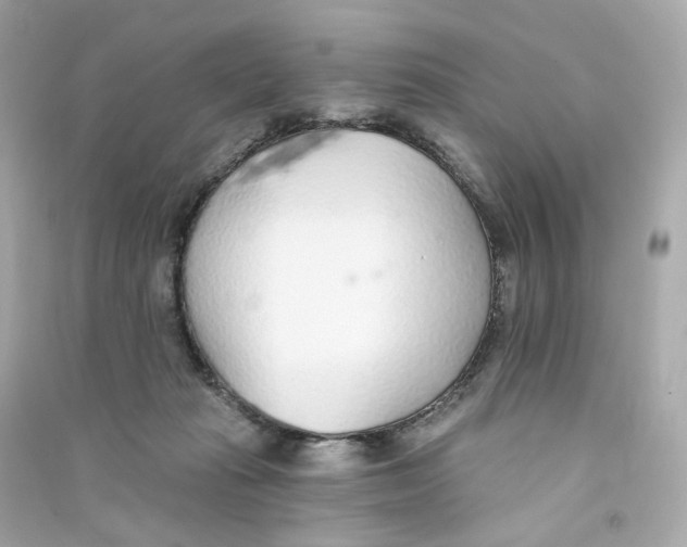 X0000090460269200708102117