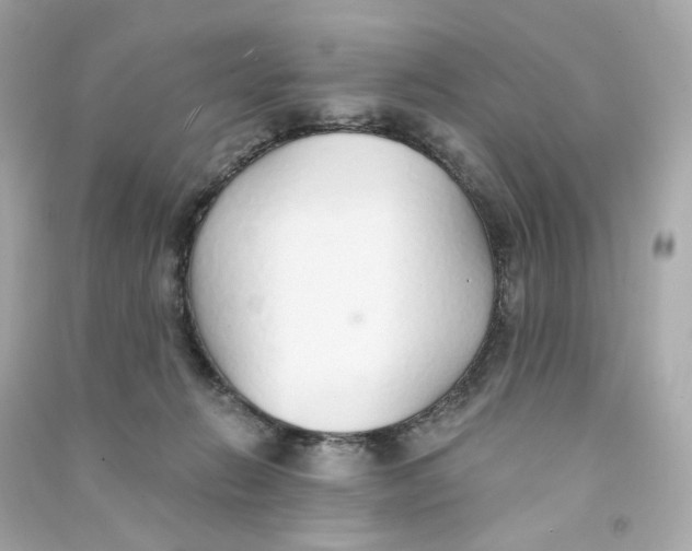 X0000090460270200708102117
