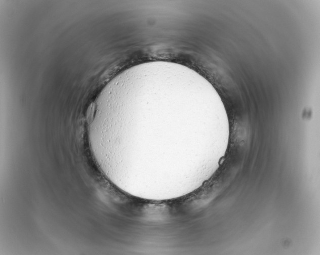 X0000090460271200708102117