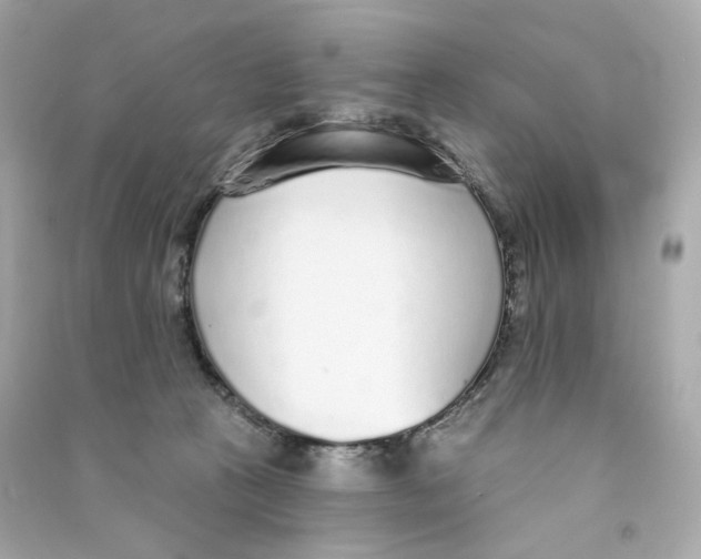 X0000090460273200708102118