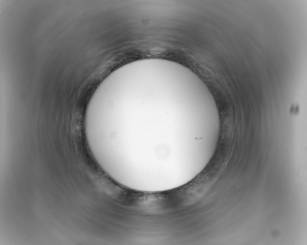 X0000090460274200708102118