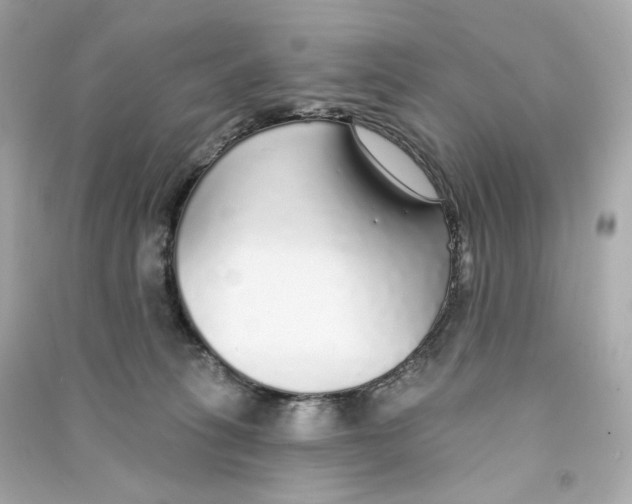 X0000090460275200708102118