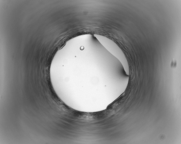 X0000090460276200708102118