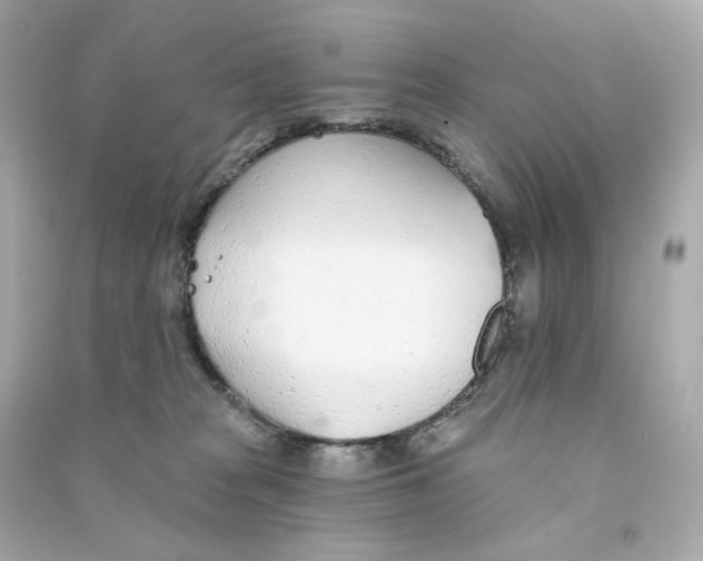 X0000090460277200708102118