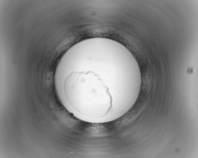 X0000090460278200708102118