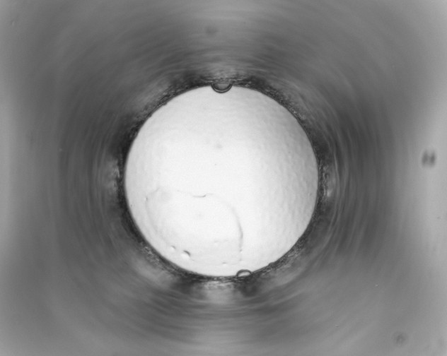 X0000090460279200708102118