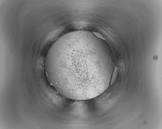 X0000090460280200708102118