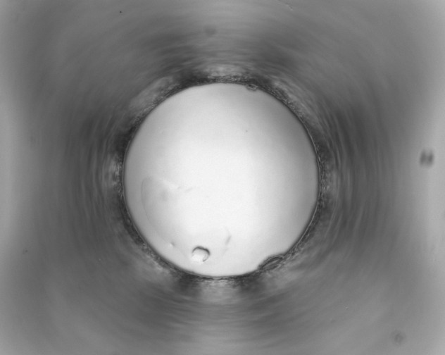 X0000090460281200708102118