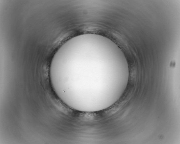 X0000090460282200708102118