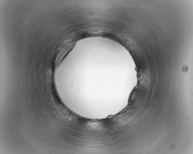 X0000090460283200708102118