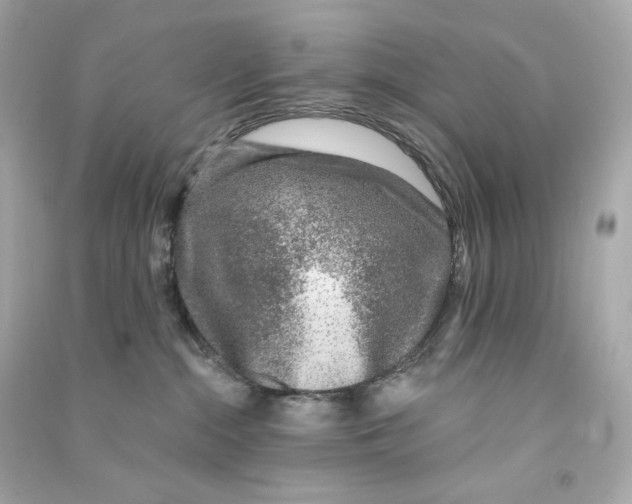 X0000090460284200708102118