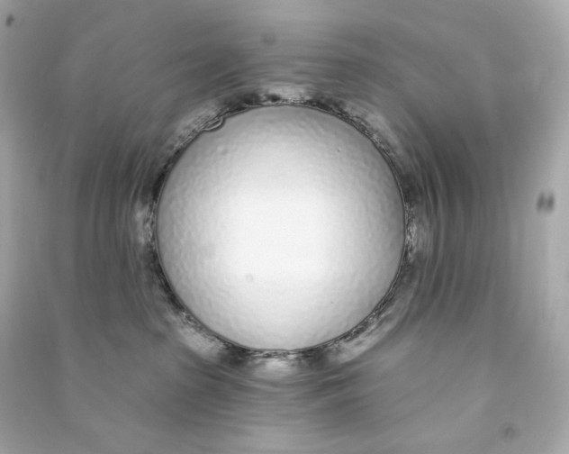 X0000090460285200708102118