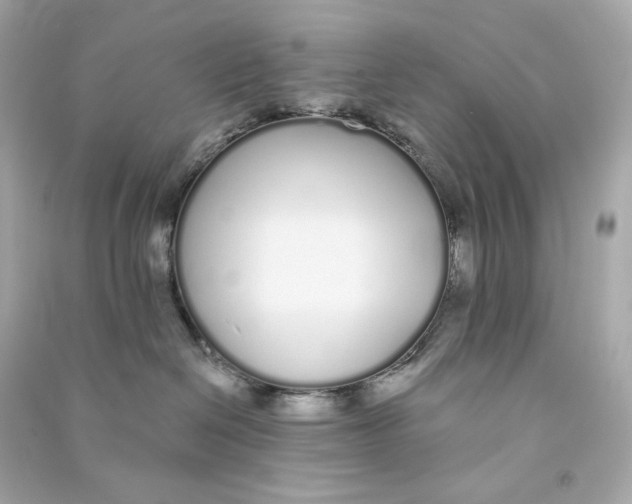 X0000090460286200708102118