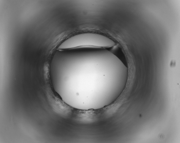 X0000090460288200708102118