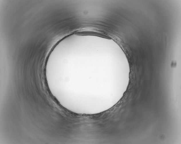 X0000090460289200708102117