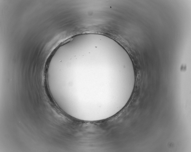 X0000090460290200708102117
