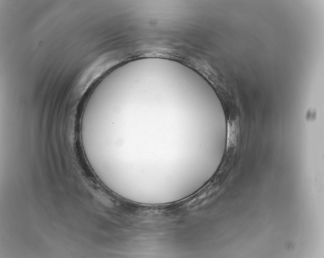 X0000090460291200708102117