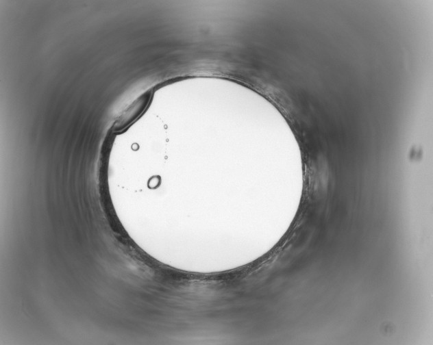X0000090460292200708102117