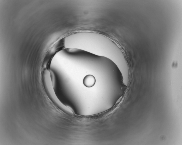 X0000090460293200708102117
